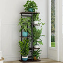 LINZINAR Plant Stand 5 Tier 6 Potted Indoor Plant Shelf Multiple Stands for Garden Corner Balcony Living Room by GreenHaven Gardens