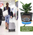 Self Watering Pots for Indoor Plants,12 inch Planters with Drainage Holes Plastic Flower Pots with Deep Reservoir, Black with Brown by CozyNest Decor