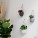 Wall Planters -Ellie- | Hanging Ceramic Plant Pots 3 Pieces | Wall Decoration for Indoors, Balcony and Garden | Graphite (Matte) by GreenHaven Gardens