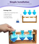 Nacome Plant Terrarium for Office Decor: Wooden Stand Tabletop Planter 3 Bulb Glass Vase Heart Shaped for Hydroponics Indoor Home - Birthday Gifts for Women Mom Grandma by GreenHaven Gardens