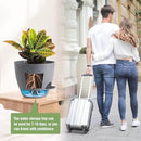 Large Self Watering Pots, 12/10/9 Plastic Planters with High Drainage Holes and Deep Reservoir for Indoor Outdoor Garden Plants and Flowers, Grey Speckles by GreenHaven Gardens