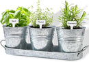 vensovo Indoor Herb Planter Set - Galvanized Windowsill Garden Pots with Tray & Drainage, Set of 3 Metal Window Planters for Kitchen & Outdoor Use, Silver by GreenHaven Gardens
