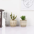 Gepege Succulent Pots, 4 Inch Small Indoor Ceramic Planter Pot with Drainage Holes and Saucers for Plants- Creamy White - Set of 4 by GreenHaven Gardens