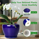 Ceramic Plant Pot 8 Inch - Planter for Outdoor Plants Indoor Plant Pot with Drainage Hole and Saucer Decorative Round Planter Modern Flower Pot for House Decor Blue by GreenHaven Gardens