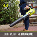 SnapFresh Cordless Leaf Blower - 550CFM Electric Leaf Blower Cordless with 2 x 4.0 Ah Battery and Fast Charger - 20V Lightweight Leaf Blower for Yard and Garden, Battery Operated Blower for Lawn Care by GreenHaven Gardens