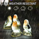 Solar Garden Outdoor Statues Bird Lights, Cute Birds Garden Decor for Outside, Christmas Birthday Gifts for Women, Unique Mother Grandma Housewarming Gifts and Yard Decoration by GreenHaven Gardens