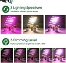 wolezek Grow Lights for Indoor Plants, Full Spectrum LED Plant Grow Light with Adjustable Stand and Sturdy Clip, 5-Heads Plant Light with Auto 6/12/16H Timer, 3 Light Modes, 5 Levels Dimmable by GreenHaven Gardens
