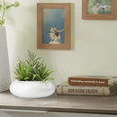 Hollyone Large Artificial Succulents Plants Faux Succulents in Pots Fake Succulent Plastic Potted Plants with White Ceramic Pot for Home Decor Office Desk Bathroom Shelf Living Room Decoration by GreenHaven Gardens