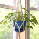 G EPGardening Pot for Plants 5 Inch - Ceramic Planter for Indoor Plants Outdoor, Succulent Pot with Drainage Hole and Saucer, Modern Home Garden Decor, Blue by GreenHaven Gardens