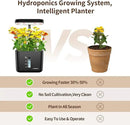 Ahopegarden Hydroponics Growing System kit Indoor Herb Garden with Grow Light, 4 Pods Plant Germination Kit Herb Vegetable Flower Growth Countertop Grower Harvest Fresh Veggie Lettuce（No Seeds） by GreenHaven Gardens