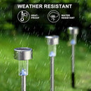 Dream Master Solar Lights Outdoor Waterproof, Stainless Steel LED Landscape Lighting Outdoor Solar Lights for Outside Solar Garden Lights for Pathway, Walkway, Patio, Yard, Lawn - 16 Pack by GreenHaven Gardens