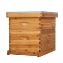 VINGLI 10 Frames Beehive, Complete Beehive Kit Includes 1 Deep Boxes, 1 Medium Box, Frames and Waxed Foundations, for Yard, Field, Bee Farm (2 Layer) by GreenHaven Gardens
