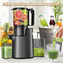 Cold Press Juicer, Juicer Machines with 5.4" Wide Feed Chute for Juice Extractor, Professional Slow Masticating Juicer for Whole Vegetables & Fruits with High Juice Yield, Easy to Clean (Black) by CozyNest Decor