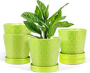EFISPSS 5 Inch Ceramic Plant Pots Indoor, Planters with Drainage Holes and Ceramic Tray, Relief Design Flower Planter，Desktop Office Windowsill Decoration Gift Set of 4 - Green by GreenHaven Gardens