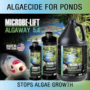 MICROBE-LIFT ALGAGAL Algaway 5.4 Algae Control Treatment for Ponds and Water Gardens, Safe for Koi Fish, Goldfish, Plants, and Decorations, 1 Gallon by GreenHaven Gardens