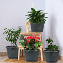 10 Inch Planter-Pots-for-Plants-Indoor-Outdoor, 4 Pack Plastic Flower Pots with Saucer & Drainage Holes, Modern Decorative Resin Garden Pots by CozyNest Decor