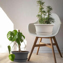 6 Pack 10 inch Plant Pot, Outdoor Pots for Plants with Drainage Hole & Tray Saucer, Round Plastic Plant Pot, Decoration Flower Pots for Indoor Plants Home Garden Outdoor Planters (White) by GreenHaven Gardens
