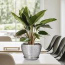 Ceramic Planter - 6 Inch Plant Pot Indoor with Drainage Hole and Saucer Outdoor Pot for Plants Round Decorative Planter Modern Mid-Century Flower Pot for Office Decor Silver by GreenHaven Gardens