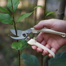 BUGUI Pruning Shears Garden Shears - Premium Alloy Steel Bypass Pruner, Precision-ground Blades, Heavy Duty Gardening Tools, 7" (H101) by GreenHaven Gardens