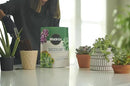 Miracle-Gro Succulent Potting Mix, for Indoor Succulents, Aloe Vera and More, Made with Miracle-Gro Plant Food, 4 qt. (3-Pack) by GreenHaven Gardens