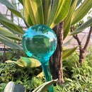 Plant Watering Stakes, Large 12pcs Flower Automatic Watering Bulbs, Plastic Plant Flower Self Watering Globes, Garden Self Watering Planter Insert for Daily Watering by GreenHaven Gardens
