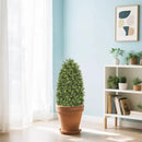 3ft Artificial Boxwood Topiary Trees (Set of 2) - UV Resistant Faux Plants for Outdoor/Indoor, Realistic 36in Fake Bushes and Shrubs for Front Porch, Planter, Patio - Low Maintenance & Evergreen by GreenHaven Gardens