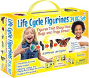 Insect Lore's Life Cycle Figurines 24 Pc Set | Butterfly, Ladybug, Frog, Honey Bee, Ant and Praying Mantis | 4 Stages Per Insect, 24 Figurines Total by TinyTreasures Baby Boutique