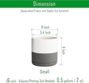 D'vine Dev 6 Inch Ceramic Planter Pot with Drainage Hole and Saucer, Indoor Cylinder Round Flower Pot, White/Speckled Grey, 94-O-C-6 by GreenHaven Gardens