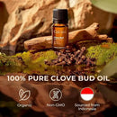 Gya Labs Clove Essential Oil for Teeth & Gums - 0.34 Fl Oz - 100% Pure Natural Clove Oil for Oral Care, Hair, Skin & Candle Making Scent by CozyNest Decor