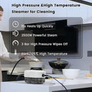 2500W Handheld Steam Cleaner,Portable Car Steamer For Auto Detailing,High-Temperature and Pressure Steam Cleaner For Home, Steam Cleaning Machine for Furniture,Kitchen,Grout,Floor,Tile (6-White) by TinyTreasures Baby Boutique