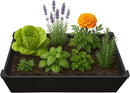 Raised Garden Bed - 2x4 ft Planter Box - Black HDPE - No Tools Needed - DIY Kit for Urban Gardening, Flowers, Herbs & Vegetables - Made in The USA by GreenHaven Gardens