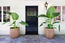 KOUBOO Madras Planter Basket, Plant Container, Tree Planter, Basket Front Door, Decorative Plants Pot, Woven Options for Every Space, Dark Brown, Large by CozyNest Decor