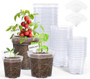 homenote Clear Nursery Pots for Plants,4 Inch Plant Pot for Planting Plastic Seedling with Drainage Holes Seed Starter Flower High Transparency 20 Labels Exclusive Material Excellent Hardness(30 Pack) by GreenHaven Gardens