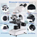 Compound Microscope，40X-2500X Research Class Professional Microscope，WF10x and WF25x eyepieces, Dual LED Lighting and Two-Layer Mechanical Stage，Microscope for Adults… by TinyTreasures Baby Boutique