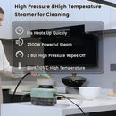 2500W Handheld Steam Cleaner,Portable Car Steamer For Auto Detailing,High-Temperature and Pressure Steam Cleaner For Home, Steam Cleaning Machine for Furniture,Kitchen,Grout,Floor,Tile (7-Green) by TinyTreasures Baby Boutique