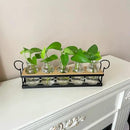 THYGIFTREE Plant Propagation Stations with Metal Stand, Tabletop Plant Terrarium for Propagating Hydroponic, Retro Glass Planter Flower Vase Home Kitchen Office Decor, Plant Lover Gifts, 5 Jars by GreenHaven Gardens