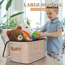 Custom Storage Basket with Name, Personalized Storage Bins with Zipper Lid, Foldable Fabric Storage Box Large capacity with Handle Apricot by TinyTreasures Baby Boutique
