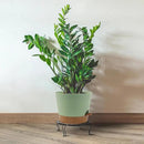 Self Watering Pots for Indoor Plants,12 inch Planters with Drainage Holes Plastic Flower Pots with Deep Reservoir, Green with Brown by CozyNest Decor