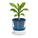 D'vine Dev 4 Inch Design Self Watering Planter for Indoor Plants, Blue Terracotta Pot with Cylinder Glass Cup, 37-X-A-4 by GreenHaven Gardens