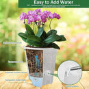 Cdd's Path 5-Pack 6 Inch Self Watering Pots Set with Holes for Indoor/Outdoor Plants,Planter Pot with Watering Hole/Reservior and Air Pipes,Clear by GreenHaven Gardens