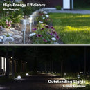 EcoGreen Outdoor Pathway Solar Light, 8pcs Pack,Garden Patio Balcony Walk Way Lights, Stainless Steel Leg, 5000K Daylight, IP65 Waterproof, 1.85 * 12.2in by CozyNest Decor