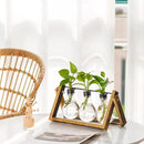 Marbrasse Plant Propagation Stations with Wooden Stand, Desktop Plant Terrarium Holder Bulb Vase, Glass Vase Container with Metal Swivel Holder for Hydroponics of Home Garden Office Decor Lover Gifts by GreenHaven Gardens