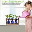 Plant Propagation Station Plant Terrarium Unique Birthday Gifts for Women Plant Lovers Home Office Decor Planter with Wooden Stand - 3 Bulb Glass Vase by GreenHaven Gardens