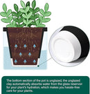 D'vine Dev 4 Inch Design Self Watering Planter for Indoor Plants, Black Terracotta Pot with Cylinder Glass Cup, Set of 4, 37-Z-A-3-F by GreenHaven Gardens