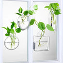 Baderke 4 Pcs Wall Hanging Planter Wall Window Propagation Station Hanging Planter Glass Terrarium Container Plant Propagation Station Vase for Garden Office Decor(Geometric) by GreenHaven Gardens