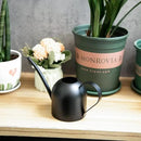 IMEEA Small Watering Can for Indoor Plants Stainless Steel Watering Can with Long Spout 15oz/450ml, (Black) by GreenHaven Gardens