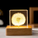 Flower Crystal Ball Night Light,2.4 inch Glass Ball Night Lamp with Woodern Base (Dandelion 1) by GreenHaven Gardens