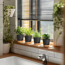 4 inch Self Watering Pots for Indoor Outdoor Plants, 6 Pack Plastic Flower Planters with Drainage Holes and Removable Saucers, Plant Pots with Wicking Rope, Modern Decor, Black Brown by GreenHaven Gardens
