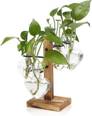Plants Propagation Stations Plant Terrarium Kit Glass Planters for Indoor Plants House Plant Accessories Gift for Women - 4 Love Bulb Vase by GreenHaven Gardens