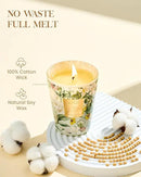 M&SENSE Sage Citrus Scented Natural Soy Wax Candle, 14.1oz 60 Hours Long Lasting Slow Burning Candles for Home Decor, Aromatherapy Candle for Stress Relief by CozyNest Decor